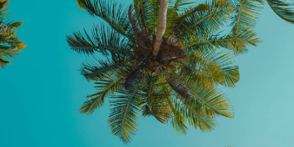 Salt Air, No Problem: Drywall Solutions That Withstand Hawaii’s Climate